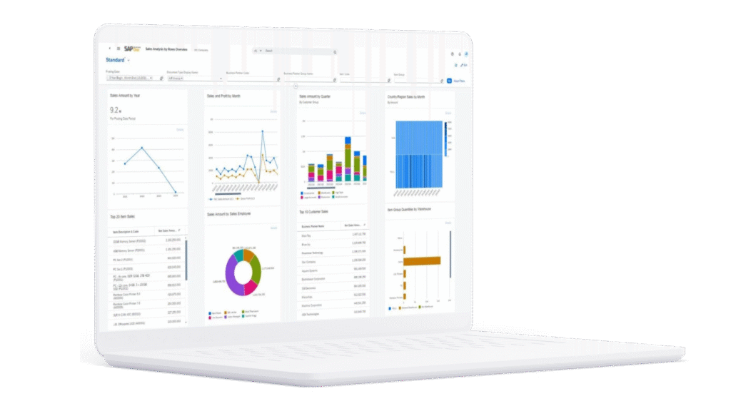 sap b1 dashboard view